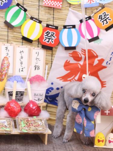 20240731サージュちゃん